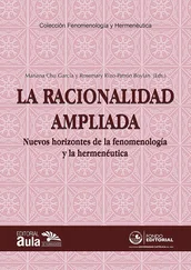 La racionalidad ampliada - nuevos horizontes de la fenomenología y la hermenéutica