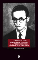 César Eduardo Carrión - La diminuta flecha envenenada - en torno a la poesía hermética de César Dávila Andrade