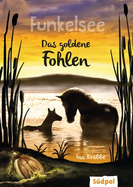 Ina Krabbe Funkelsee – Das goldene Fohlen (Band 3) обложка книги