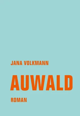 Jana Volkmann Auwald обложка книги