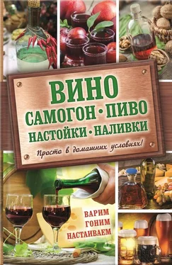 Евгения Богуславская Вино, самогон, пиво, настойки, наливки. Варим, гоним, настаиваем. Просто в домашних условиях! обложка книги