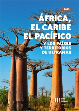 Неизвестный Автор Actividad del BEI en África, el Caribe, el Pacífico y en los Países y Territorios de Ultramar обложка книги