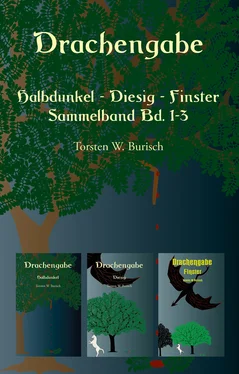 Torsten W. Burisch Drachengabe - Halbdunkel - Diesig - Finster обложка книги