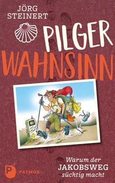 Jörg Steinert Pilgerwahnsinn обложка книги
