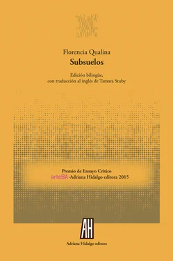 Florencia Qualina Subsuelos обложка книги