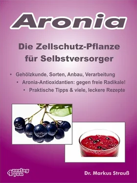 Markus Strauß Aronia. Die Zellschutz-Pflanze für Selbstversorger. обложка книги