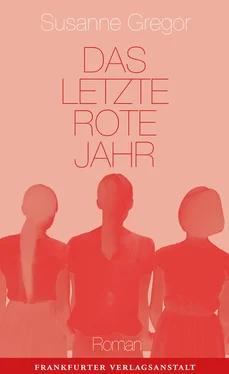 Susanne Gregor Das letzte rote Jahr обложка книги