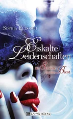 Sophia Rudolph - Eiskalte Leidenschaften