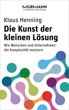 Klaus Henning Die Kunst der kleinen Lösung обложка книги