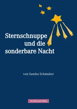 Sandra Schmuker Sternschnuppe und die sonderbare Nacht обложка книги