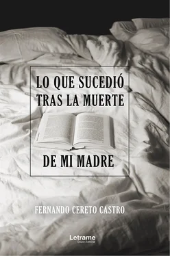 Fernando Cereto Castro Lo que sucedió tras la muerte de mi madre обложка книги