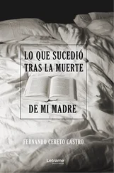 Fernando Cereto Castro - Lo que sucedió tras la muerte de mi madre