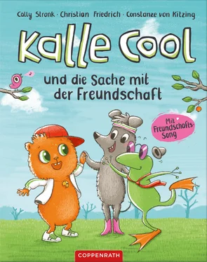 Christian Friedrich Kalle Cool und die Sache mit der Freundschaft обложка книги