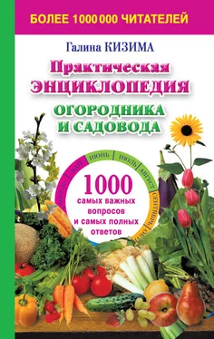 Галина Кизима Практическая энциклопедия огородника и садовода. 1000 самых важных вопросов и самых полных ответов о саде и огороде обложка книги