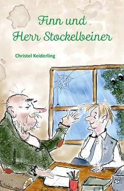 Christel Keiderling Finn und Herr Stockelbeiner обложка книги