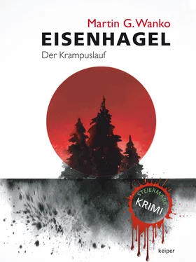 Martin G. Wanko Eisenhagel - Ein Steiermark-Krimi обложка книги