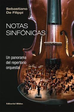 Sebastiano De Filippi Notas sinfónicas обложка книги