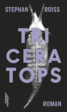 Stephan Roiss Triceratops обложка книги
