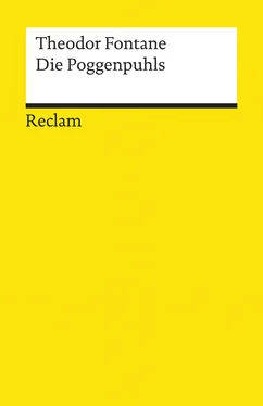 Theodor Fontane Die Poggenpuhls. Roman обложка книги