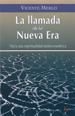 Vicente Merlo La llamada (de la) Nueva Era обложка книги