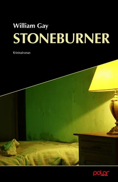 William Gay Stoneburner обложка книги