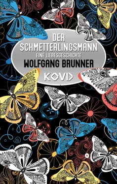 Wolfgang Brunner Der Schmetterlingsmann обложка книги