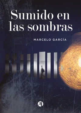 Marcelo García Sumido en las sombras обложка книги