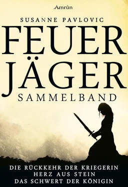 Susanne Pavlovic Feuerjäger: Sammelband обложка книги