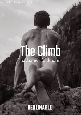 Nathaniel Feldmann The Climb обложка книги