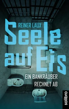 Reiner Laux Seele auf Eis обложка книги