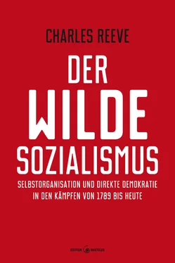 Charles Reeve Der wilde Sozialismus обложка книги