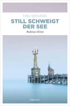 Tina Schlegel Still schweigt der See обложка книги