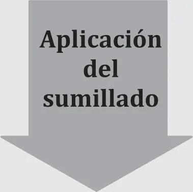 El varón que pertenece al grupo considerado superior ha tenido preeminencia - фото 6