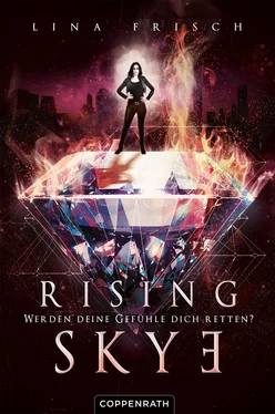 Lina Frisch Rising Skye (Bd. 2) обложка книги