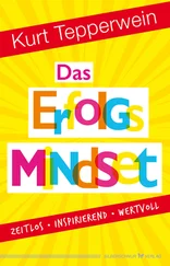 Kurt Tepperwein - Das Erfolgs-Mindset