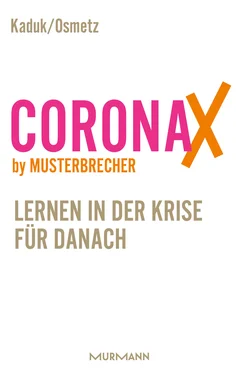 Stefan Kaduk CoronaX by Musterbrecher обложка книги