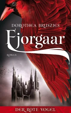 Dorothea Bruszies Fjorgaar - Der rote Vogel обложка книги