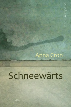 Anna Cron Schneewärts обложка книги