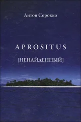 Антон Сорокко - Aprositus (Ненайденный)
