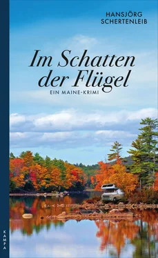 Hansjörg Schertenleib Im Schatten der Flügel обложка книги