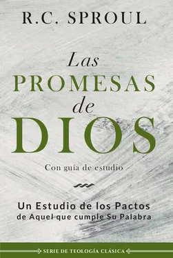 R. C. Sproul Las promesas de Dios обложка книги
