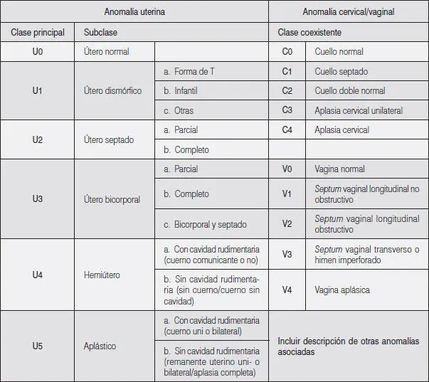 ANATOMÍA DEL APARATO GENITAL FEMENINO Como lo señalamos en la sección de - фото 29
