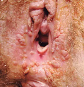 Lecturas recomendadas Huneeus A Pumarino MG Schilling A Robledo P Bofil M - фото 21