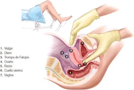 La distensión abdominal puede deberse a diversas causas tales como embarazo - фото 37