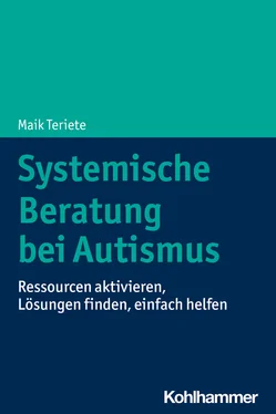 Maik Teriete Systemische Beratung bei Autismus обложка книги