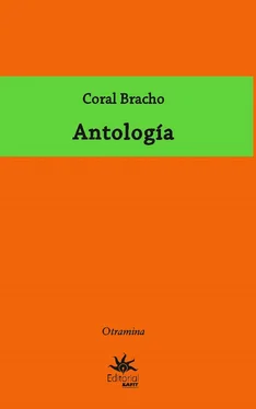 Coral Bracho Antología обложка книги