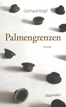 Gerhard Köpf Palmengrenzen обложка книги