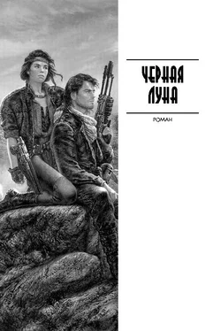 Андрей Ливадный Черная Луна обложка книги