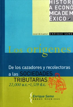 Enrique Semo Los orígenes обложка книги
