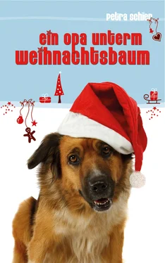 Petra Schier Ein Opa unterm Weihnachtsbaum обложка книги